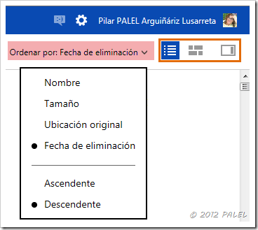 Papelera de reciclaje en SkyDrive - Orden