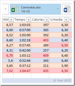 Vista previa adjuntos Excel - palel.es